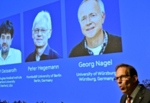 Dan Nobel de Medicina a técnica que permite estudiar la actividad cerebral con luz