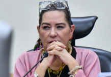 Taddei envía su renuncia a la Cámara de Diputados
