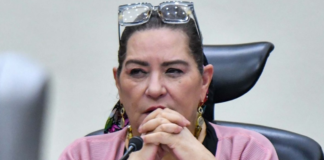 Taddei envía su renuncia a la Cámara de Diputados