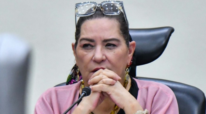 Taddei envía su renuncia a la Cámara de Diputados