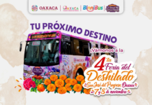 Transporte gratis a la 4ª Feria del Deshilado de San José del Progreso