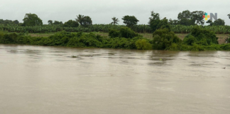 Mantienen monitoreo permanente de ríos y zonas de riesgo en la Cuenca del Papaloapan