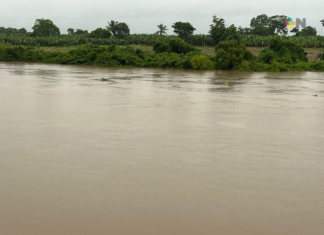 Mantienen monitoreo permanente de ríos y zonas de riesgo en la Cuenca del Papaloapan