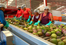 Abren puertas al mercado internacional a través de Concamin