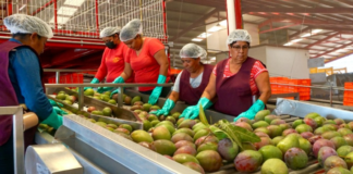 Abren puertas al mercado internacional a través de Concamin