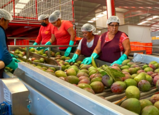Abren puertas al mercado internacional a través de Concamin