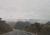 Exhortan a conducir con precaución en la carretera Barranca Larga- Ventanilla